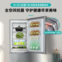 创维(SKYWORTH) 186升 冰箱双门小型 两天约一度电 微霜大空间 99.99%抗