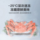 海信（Hisense）322L冰箱双开门多门冰箱小型变频风冷无霜电冰箱BCD-322WNK1DPUS
