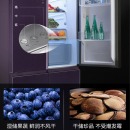 海信（Hisense） 555升四门十字对开门冰箱 真空保鲜全领域净化 变频无霜BCD-555WTDGVBPIV