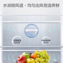 海信（Hisense）食神451升十字对开门电冰箱 整机杀菌 一级能效变频风冷磨砂玻璃四门BCD-451WTDGVBP