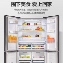 海信(Hisense)451升/602升冰箱 十字对开门多门冰箱 变频节能 无霜四门家用冰箱门店款 602升冰箱 BCD-602WTDGVBP