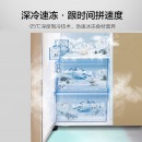 海信 (Hisense) 535升 对开门双开门电冰箱 超薄大容量双门 抗菌净化 变频风冷无霜 节能静音BCD-535WTVBP/Q