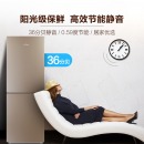 美的(Midea)190升 小型家用两门小冰箱 HIPS环保内胆 节能静音 持久锁冷自动控温 BCD-190CM