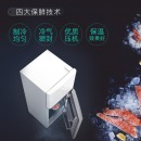 TCL 118升 小型双门电冰箱 LED照明 迷你小冰箱 冰箱小型便捷 节能静音（芭蕾白）BCD-118KA9