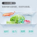 TCL 282升 冷藏自动除霜 法式多门电冰箱 电脑温控 深冷速冻 一体成型(流光金) BCD-282KR50