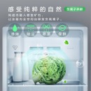 TCL 518升风冷无霜对开门双开门电冰箱 AAT负离子养鲜 隐形电脑控温 纤薄机身（芭蕾白）R518V3-S