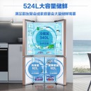 三星(Samsung)RF50N5940FS/SC家用524L大容量风冷无霜变频三循环十字对开门冰箱