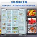 三星（SAMSUNG）545升双开门电冰箱 对开门 风冷无霜 智能变频 节能静音 RS55N3003SA/SC