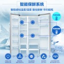 三星（SAMSUNG）545升双开门电冰箱 对开门 风冷无霜 智能变频 节能静音 RS55N3003SA/SC