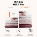 松下（Panasonic）滚筒洗衣机全自动10公斤 洗烘一体机 暖风无水除菌更护衣 免熨烫XQG100-LD1NY
