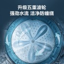海信(Hisense)波轮洗衣机全自动 10公斤大容量 10大洗衣程序 健康桶自洁 家用租房宿舍 智能一键洗 HB100DF52