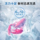 美菱（MeiLing)100升单温冰柜 一级能效 冷藏冷冻转换柜 一机四用冷柜BC/BD-100DT