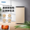海尔 Haier 102升分区大抽屉防串味家用立式冰柜 母婴母乳冷柜小冰箱 BD-102MDT