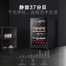海尔（Haier）53瓶装控温保湿红酒柜 家用客厅立式葡萄酒冰柜展示柜WS053A