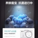 海信 206升一级能效家用双温冰柜 养鲜净化 冷冻冷藏保鲜柜节能商用冷柜双开冰箱BCD-206NUD
