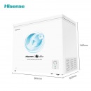 海信（Hisense）冰柜 家用小型 冷藏冷冻柜卧式冷柜 BD/BC-202ND 珍珠白