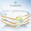 容声(Ronshen) 208升 冰柜家用商用 冷藏冷冻双温双箱冷柜 一级能效 大容量卧式厨房冰箱 BCD-208MS/A