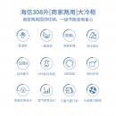 海信 (Hisense) 308升 商用家用冰柜 一级能效冷藏冷冻 小冰箱BD/BC-308NU/A BD/BC-308NU/A