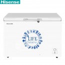 海信 (Hisense) 308升 商用家用冰柜 一级能效冷藏冷冻 小冰箱BD/BC-308NU/A BD/BC-308NU/A