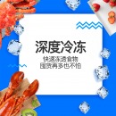 新飞（Frestec） 300升 商用单温冰柜 顶开门 单箱变温冰箱 冷藏冷冻冷柜 BC/BD-300KHAT