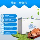 新飞（Frestec） 300升 商用单温冰柜 顶开门 单箱变温冰箱 冷藏冷冻冷柜 BC/BD-300KHAT