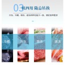 新飞（Frestec）四门六门冰箱商用全冷藏冷冻铜管立式电冰柜酒店餐饮厨房不锈钢蔬菜双温保鲜冷柜 六门双温豪华款