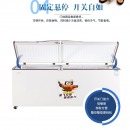 新飞（Frestec）四门六门冰箱商用全冷藏冷冻铜管立式电冰柜酒店餐饮厨房不锈钢蔬菜双温保鲜冷柜 六门双温豪华款