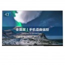 飞利浦（PHILIPS）43英寸 全面屏 全高清 投屏 教育 AI语音 8G 网络智能平板液晶电视43PFF6395
