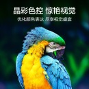 三星（SAMSUNG）UA43TU8000JXXZ 43英寸HDR10+ 4K智能语音液晶电视