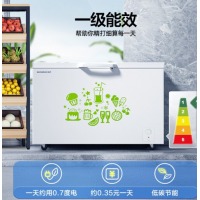 容声(Ronshen) 309升 商用卧式冰柜 厨房冰箱 雪糕大冷柜 冷藏冷冻转换 一级能
