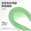 得力（Deli）7391 A4彩色复印纸浅绿色 70G 100张/包