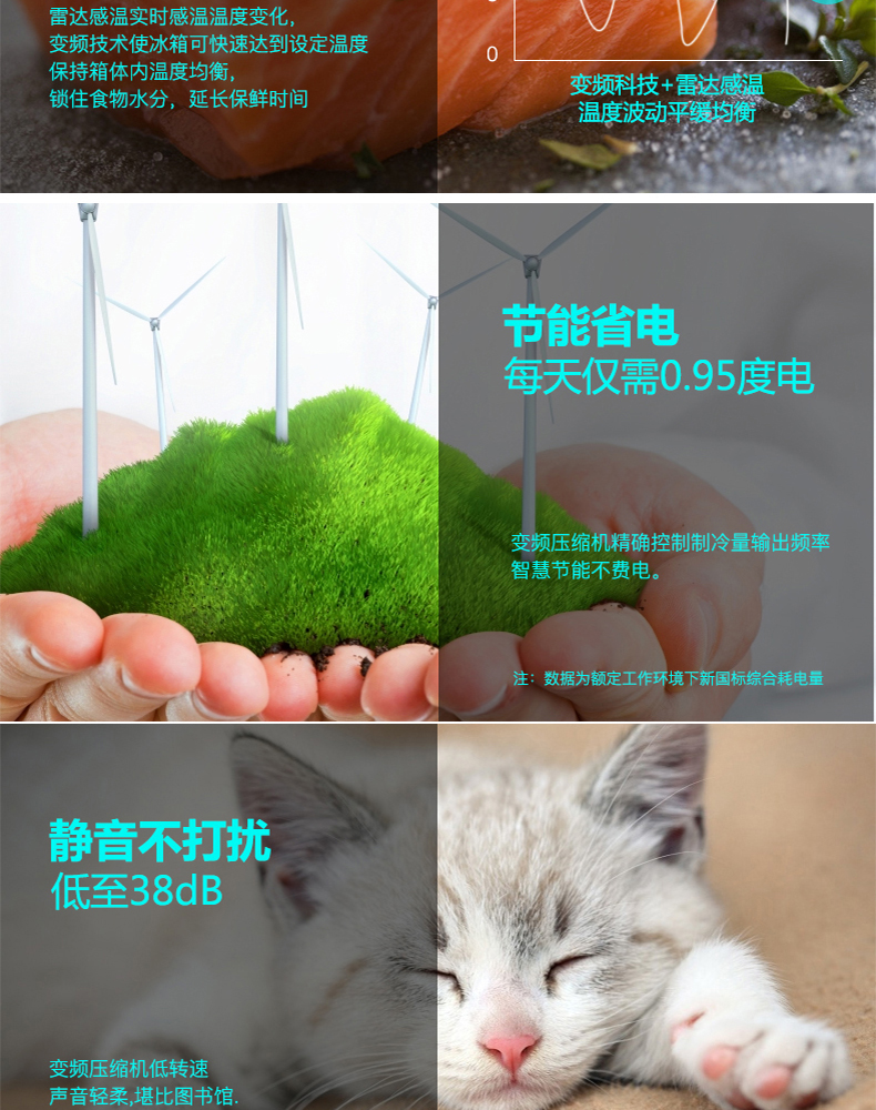 描述5.jpg