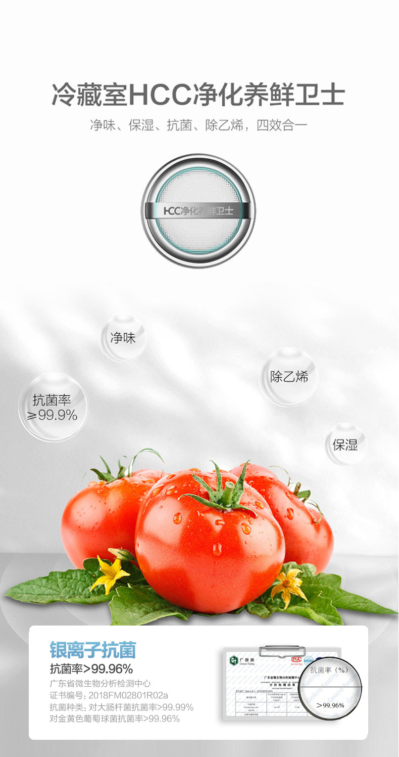 描述6.jpg