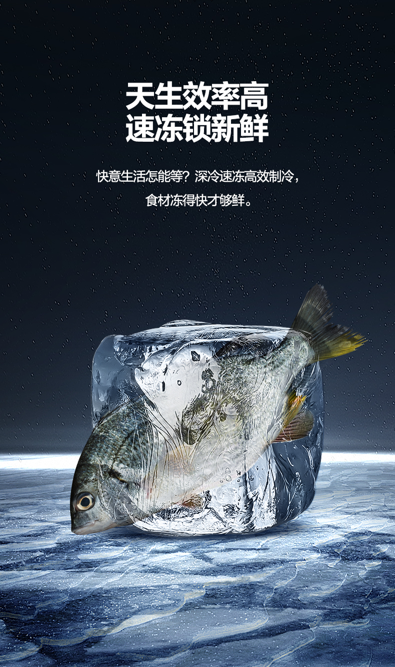 描述6.jpg