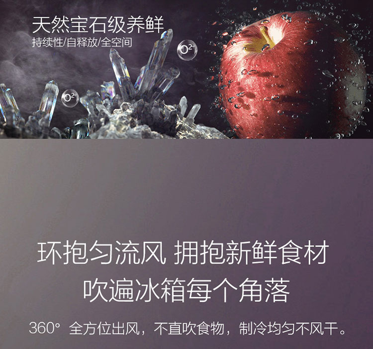 描述5.jpg