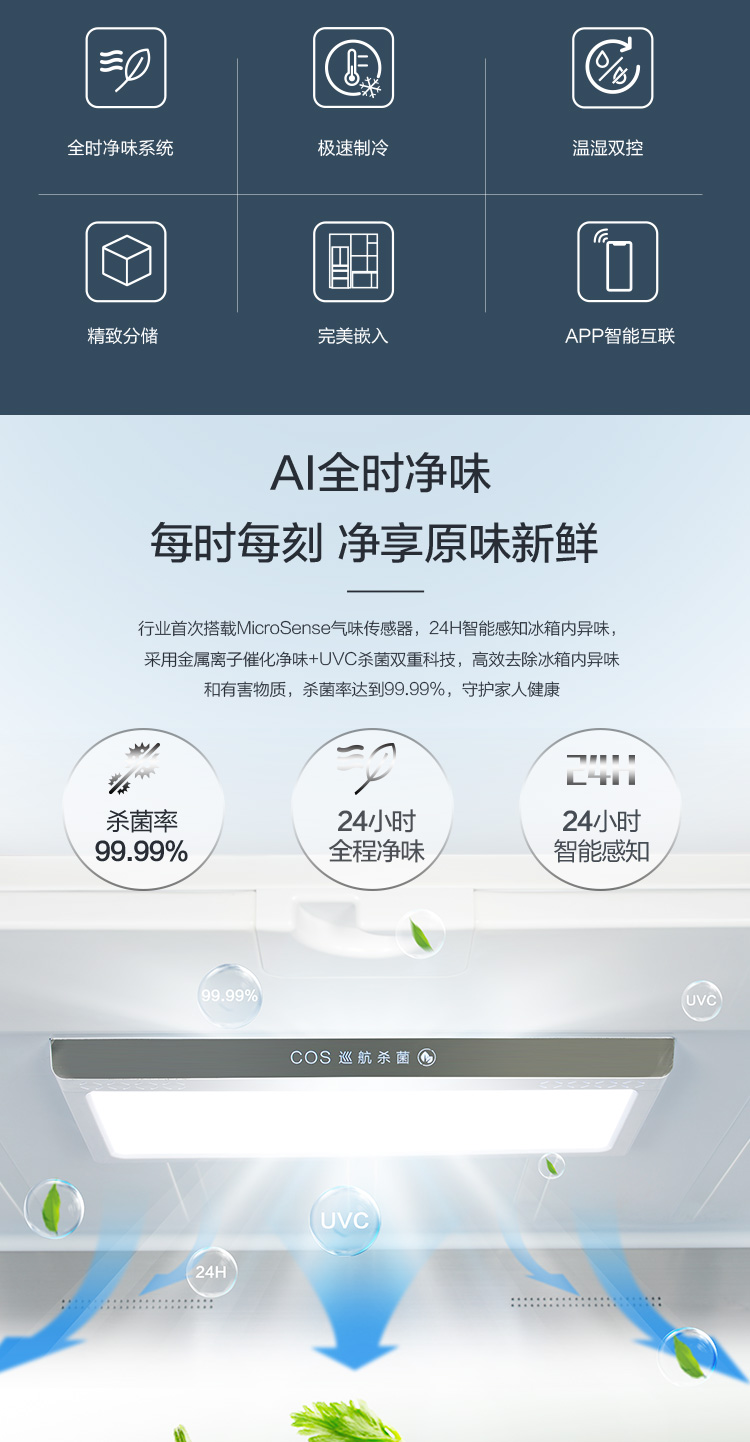 描述3.jpg
