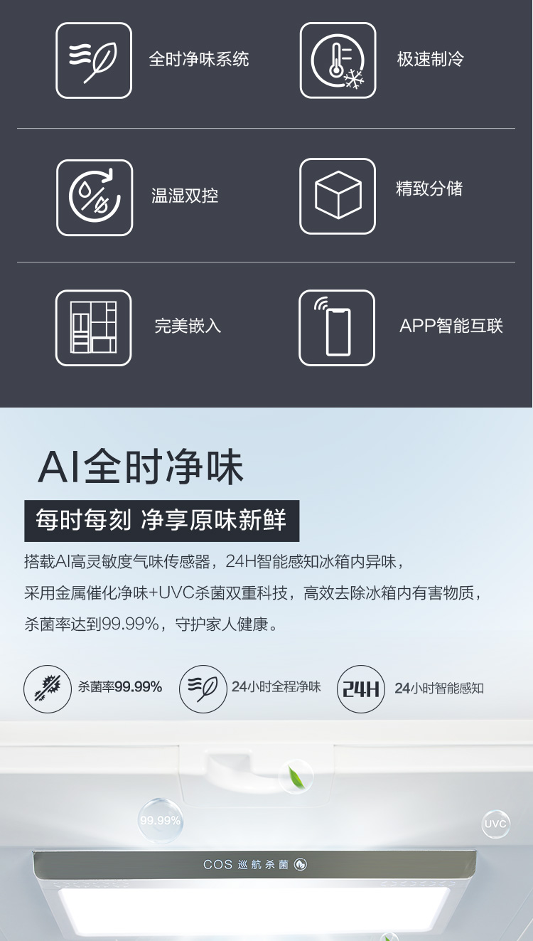 描述3.jpg