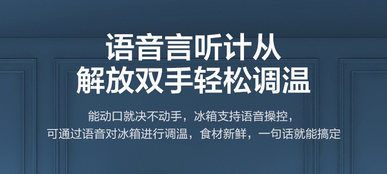 描述31.jpg