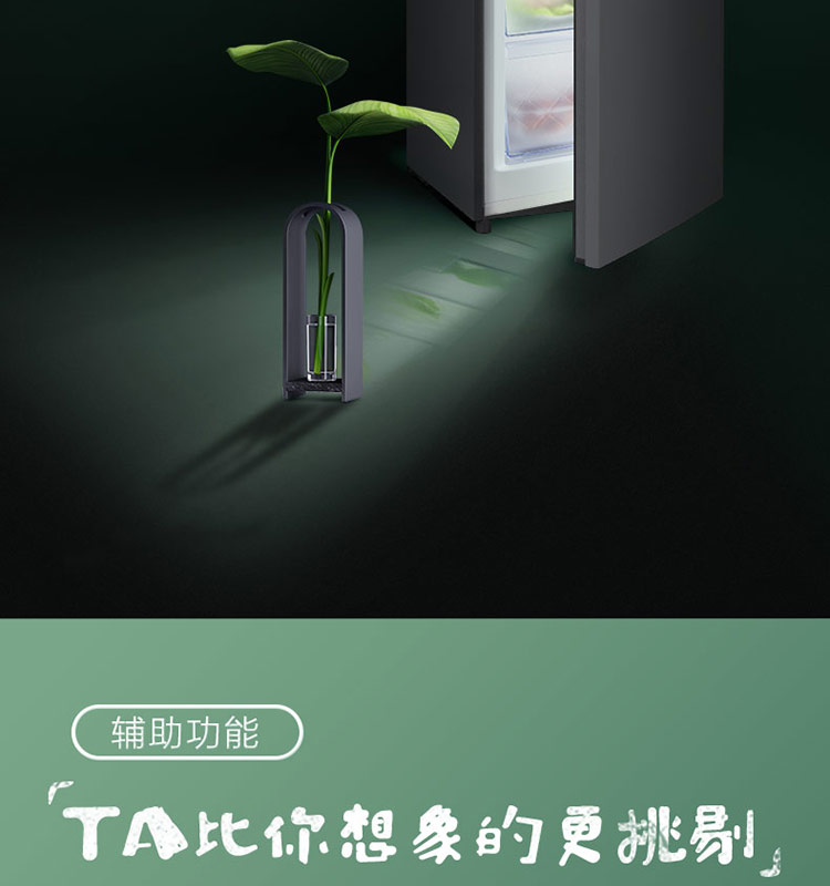 描述17.jpg