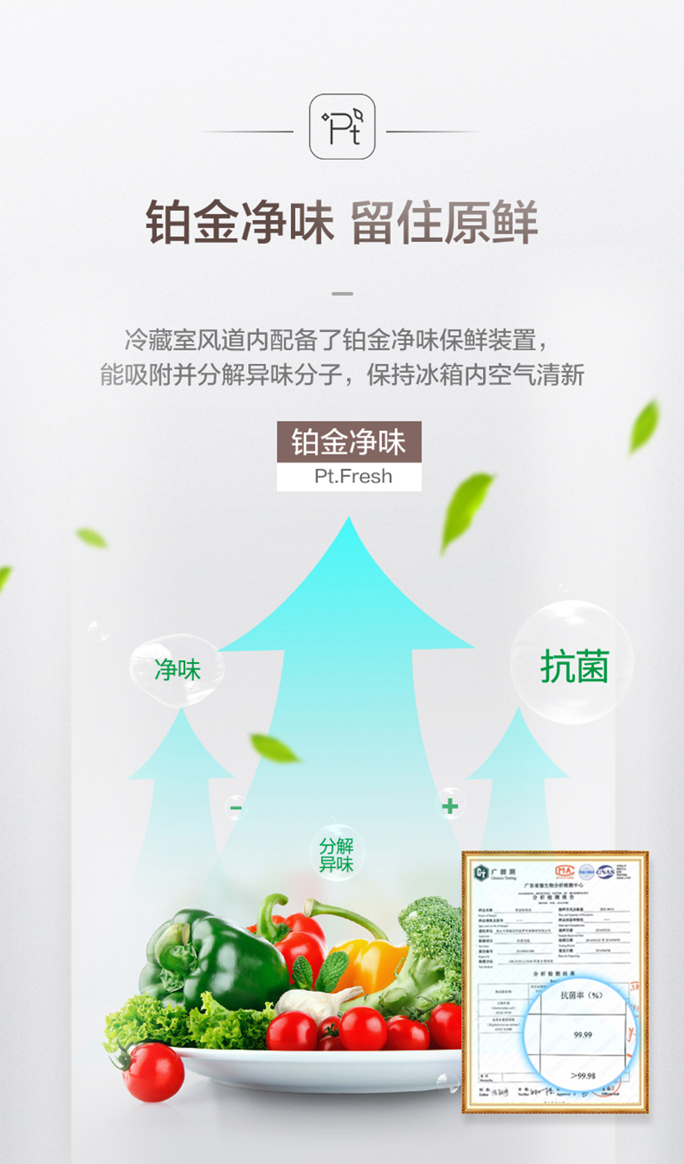 描述72.jpg
