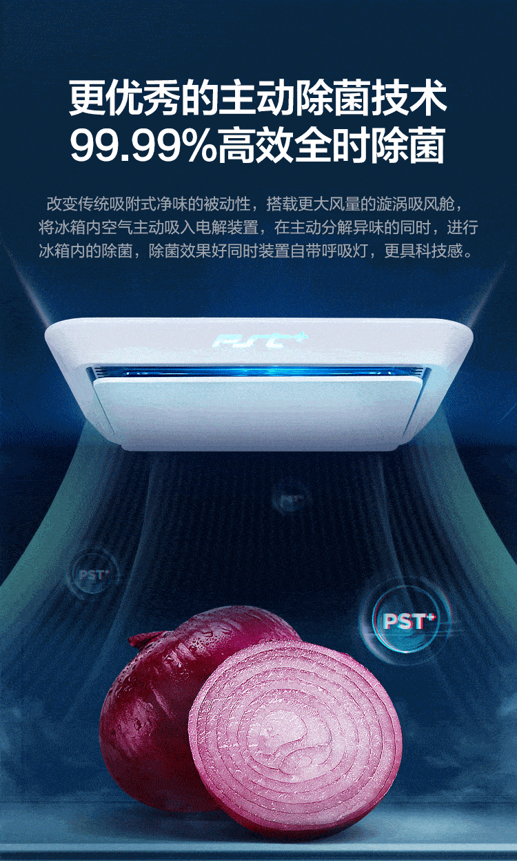 描述6.gif