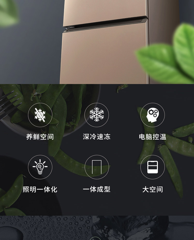 描述3.jpg