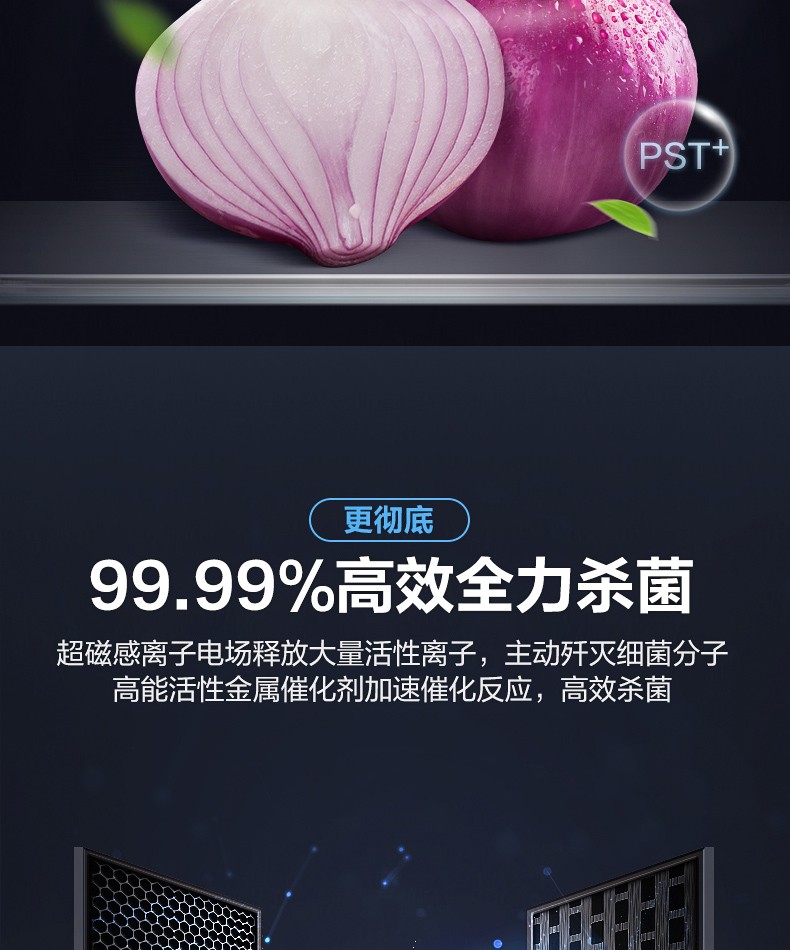 描述8.jpg