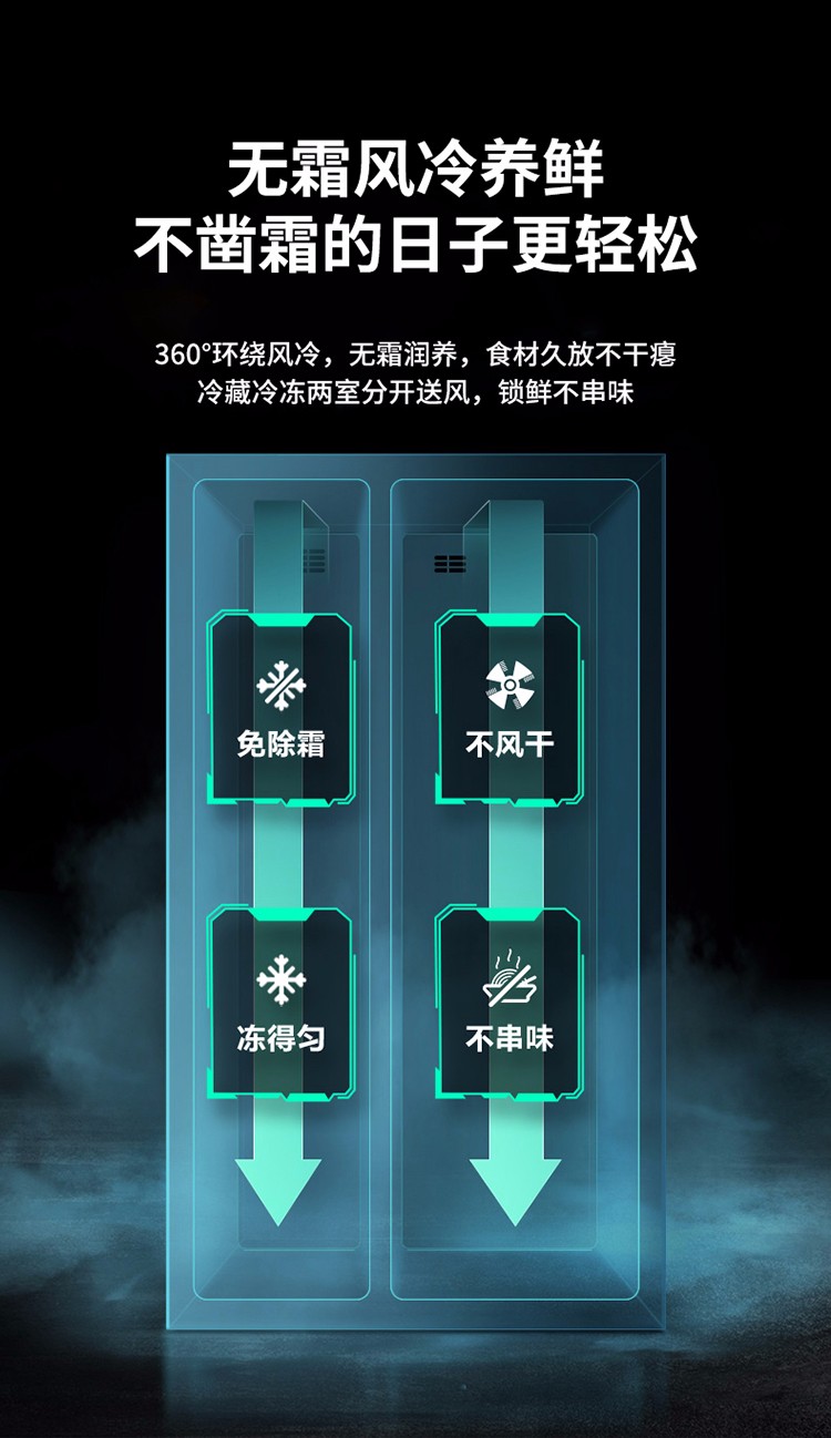 描述12.jpg