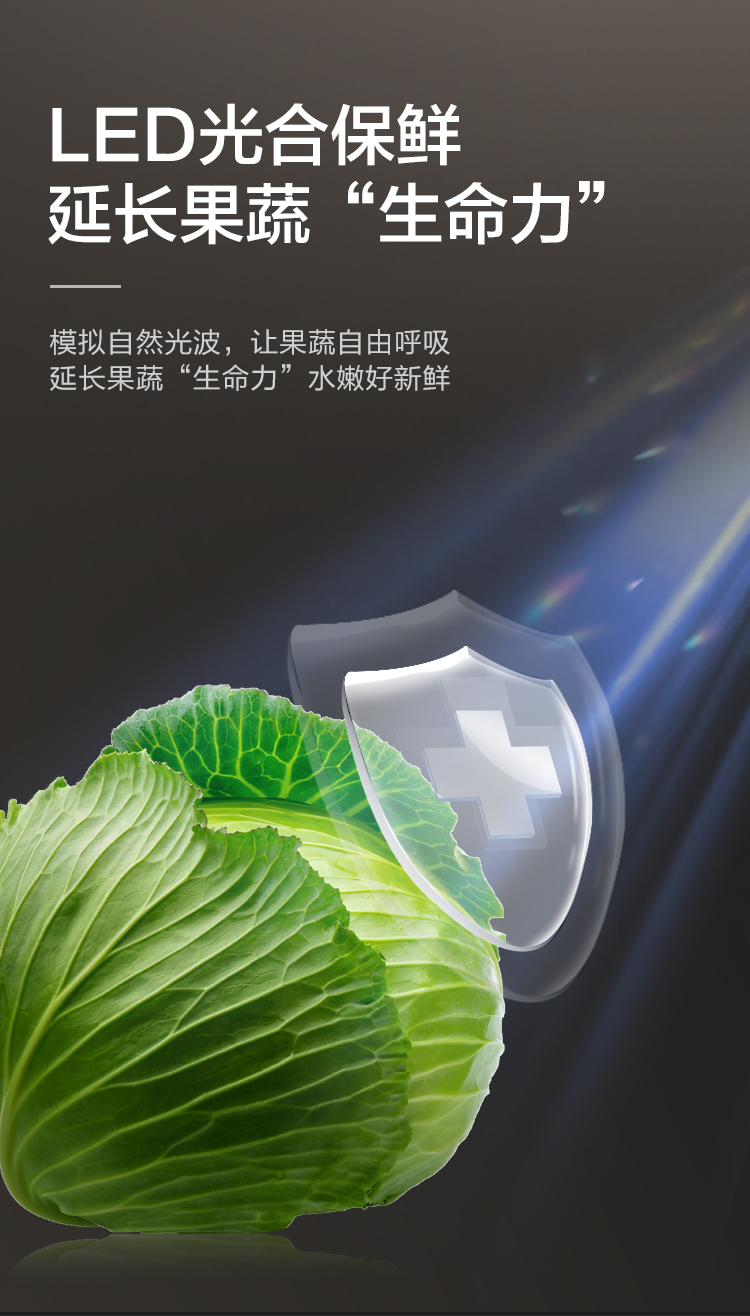 描述13.jpg