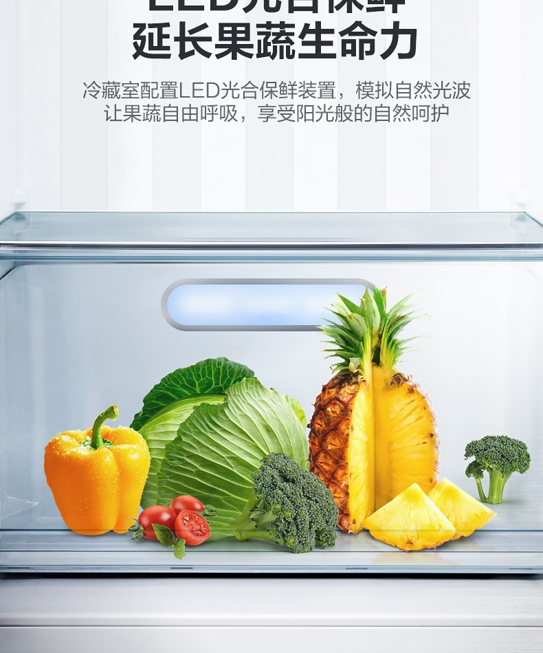 描述23.jpg