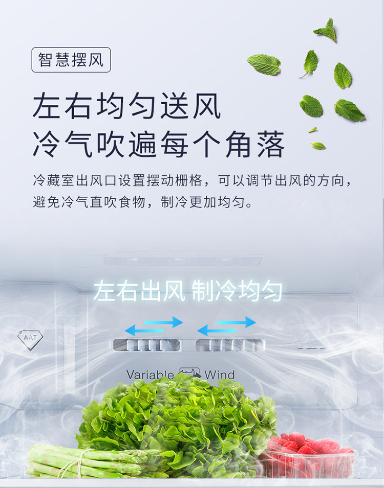 描述12.jpg