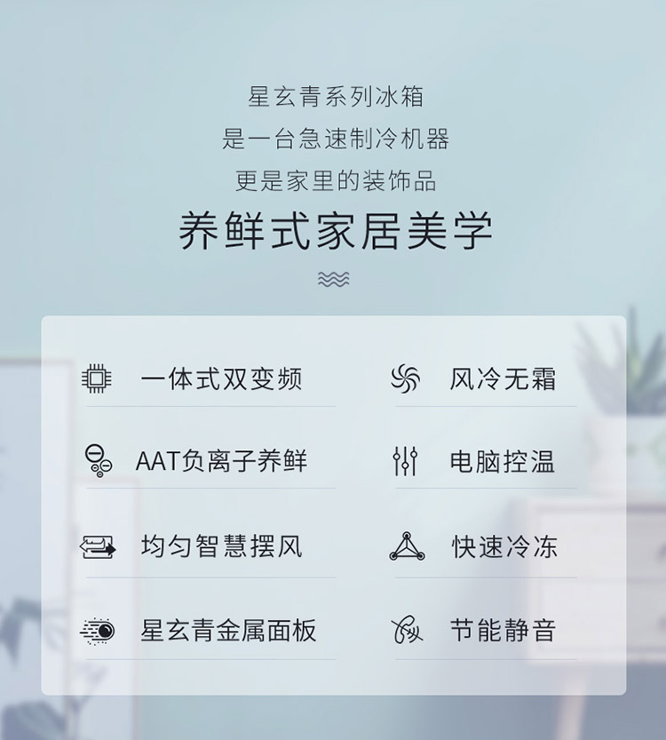 描述4.jpg