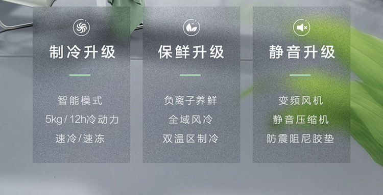 描述3.jpg