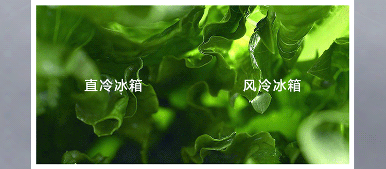 描述5.gif